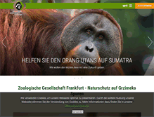 Tablet Screenshot of fzs.org